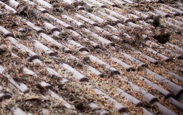 Hoccombe roof cleaning companies